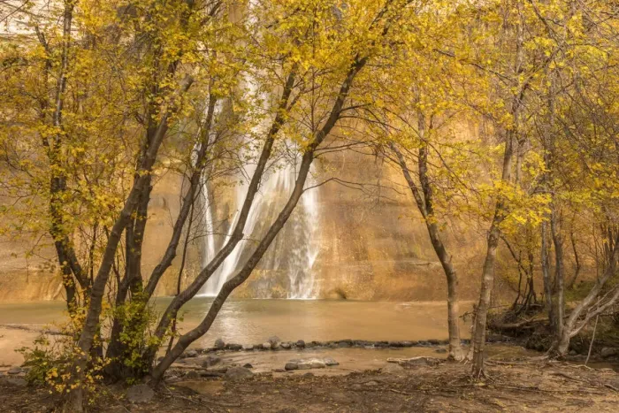 Framed Print : USA, Utah, Grand Staircase-Escalante National Monument. Lower Calf Creek Falls and trees Framed Print : USA, Utah, Grand Staircase-Escalante National Monument. Lower Calf Creek Falls and trees
