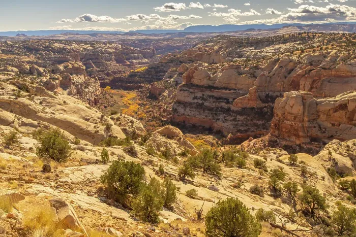 Framed Print : USA, Utah, Grand Staircase Escalante National Monument. Overview of cliff and autumn cottonwood trees