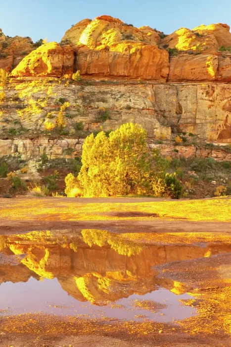 Framed Print : USA, Utah, Grand Staircase Escalante National Monument. Reflections in Escalante River Basin water Framed Print : USA, Utah, Grand Staircase Escalante National Monument. Reflections in Escalante River Basin water