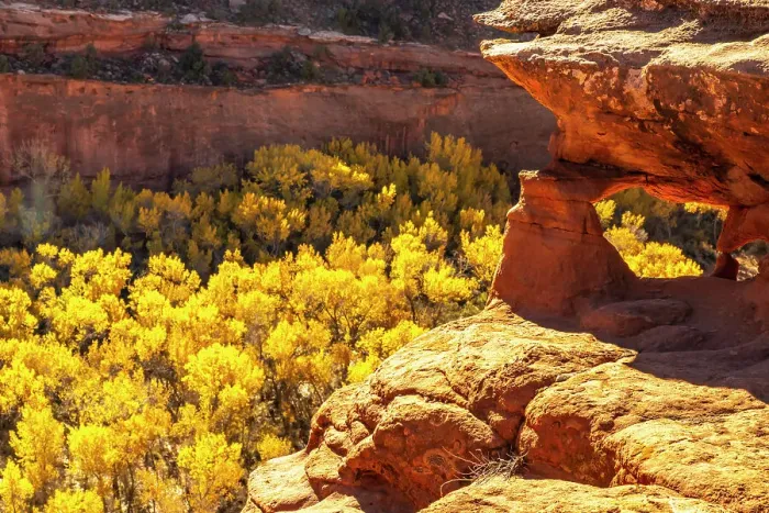 Framed Print : USA, Utah, Grand Staircase Escalante National Monument. Escalante River Basin rock formations Framed Print : USA, Utah, Grand Staircase Escalante National Monument. Escalante River Basin rock formations