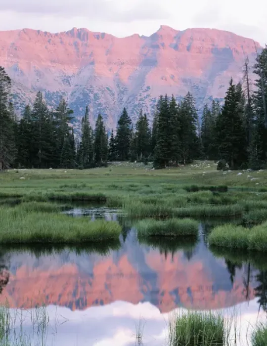 Framed Print : USA, Utah, High Uintas Wilderness, Wasatch National Forest, Ostter Peak reflected Framed Print : USA, Utah, High Uintas Wilderness, Wasatch National Forest, Ostter Peak reflected