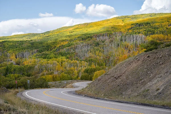USA, Utah. Highway winding through Dixie National Forest, Aspen Fall colors