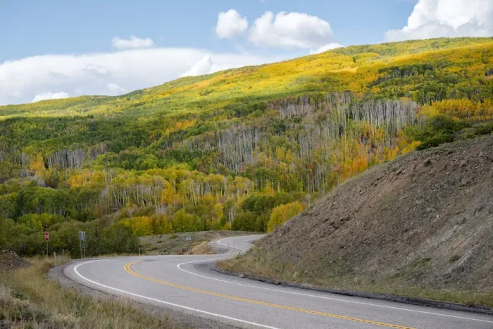 Framed Print : USA, Utah. Highway winding through Dixie National Forest, Aspen Fall colors Framed Print : USA, Utah. Highway winding through Dixie National Forest, Aspen Fall colors