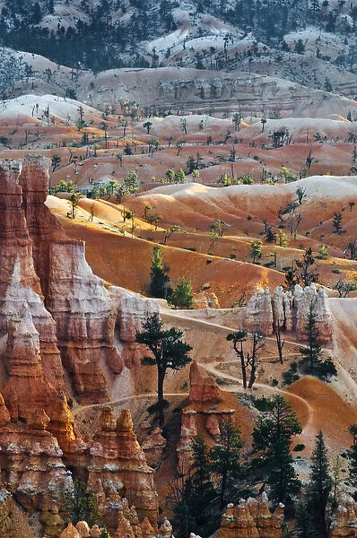 USA, Utah. Hoodoo formations in Bryce Canyon National Park
