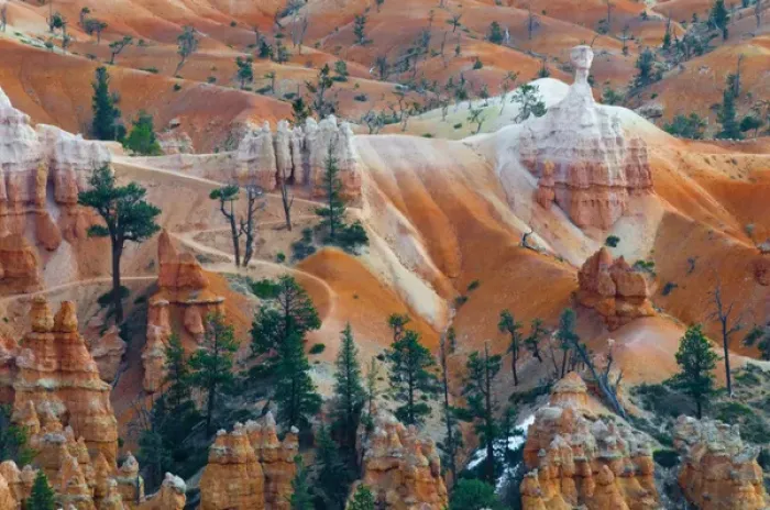 Framed Print : USA, Utah. Hoodoo formations in Bryce Canyon National Park