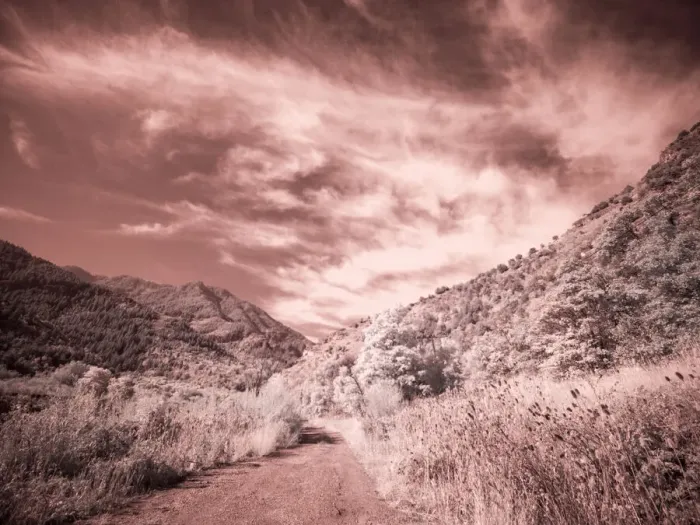 Framed Print : USA, Utah, Infrared of backroad in the Logan Pass area