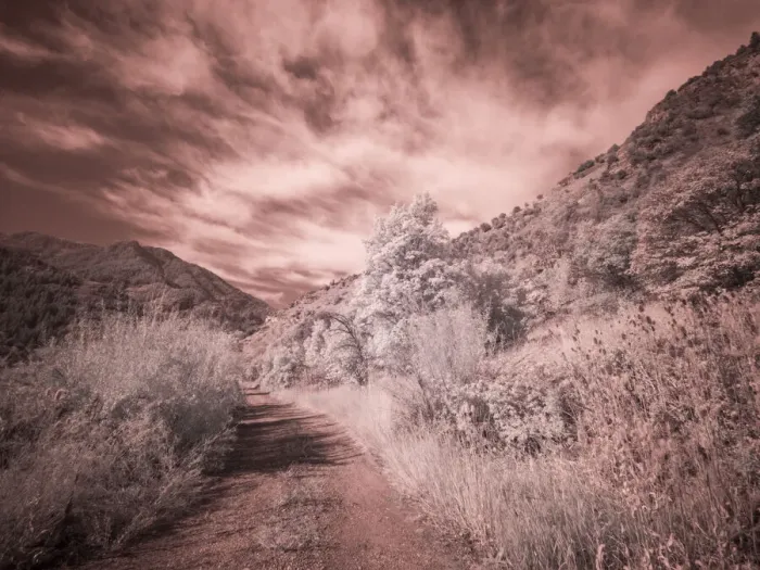 Framed Print : USA, Utah, Infrared of backroad in the Logan Pass area