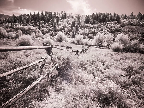 USA, Utah, Infrared of the Logan Pass area with long rail fence