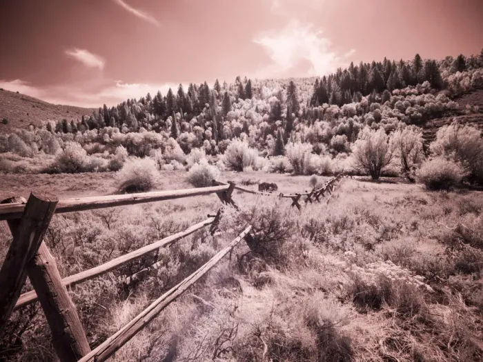 Framed Print : USA, Utah, Infrared of the Logan Pass area with long rail fence