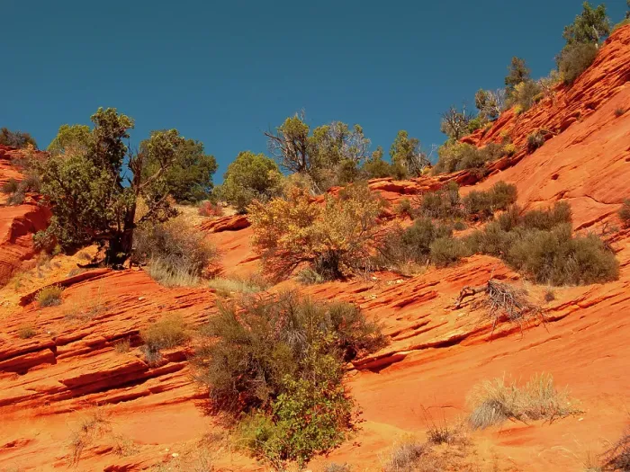 Framed Print : USA, Utah, Kanab, Peekaboo Canyon Entrance Area