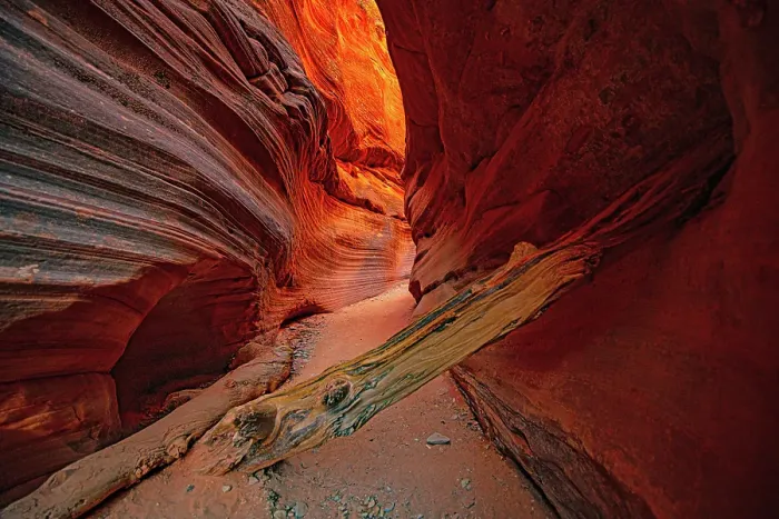 Framed Print : USA, Utah, Kanab, Peekaboo Slot Canyon Wedged Logs Framed Print : USA, Utah, Kanab, Peekaboo Slot Canyon Wedged Logs