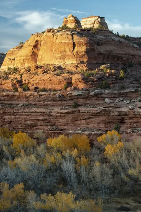 Framed Print : USA, Utah. Last light on sandstone monolith with autumn cottonwoods Framed Print : USA, Utah. Last light on sandstone monolith with autumn cottonwoods