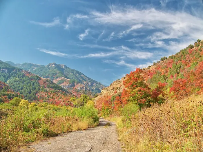 Framed Print : USA, Utah, Logan Canyon. Colorful aspens in autumn