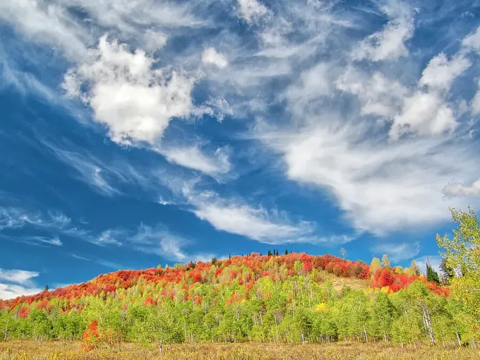 Framed Print : USA, Utah, Logan Pass. Colorful autumn in Provo Pass Framed Print : USA, Utah, Logan Pass. Colorful autumn in Provo Pass