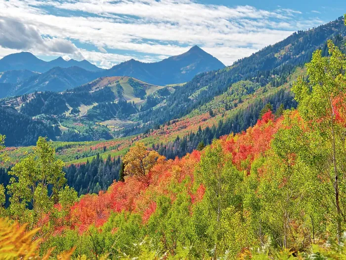 Framed Print : USA, Utah, Logan Pass. Colorful autumn in Provo Pass Framed Print : USA, Utah, Logan Pass. Colorful autumn in Provo Pass