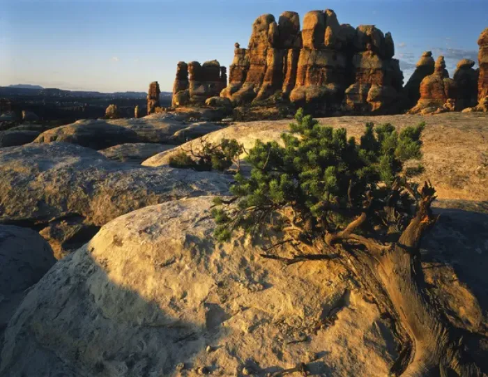 Framed Print : USA, Utah, Maze District, View of rock formations at canyon Framed Print : USA, Utah, Maze District, View of rock formations at canyon