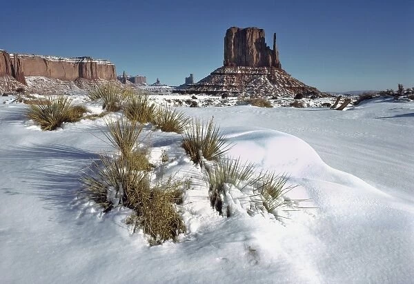 USA, Utah, Monument Valley. Fresh snow mounds around cacti on the floor of Monument Valley