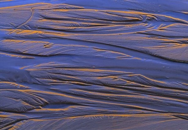 USA, Utah, Monument Valley. Gold and purple reflect in a sand pattern in Monument Valley, Utah