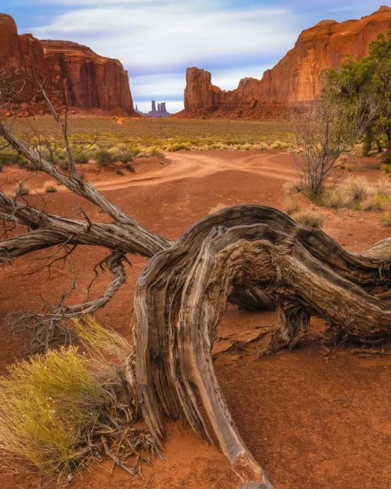 Framed Print : USA, Utah, Monument Valley. Landscape and dead tree. Credit as