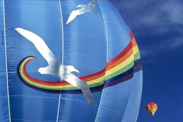 USA, Utah, Monument Valley. A rainbow and seagull decorate a hot-air balloon in Monument Valley