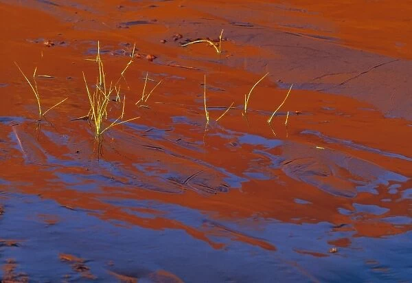 USA, Utah, Monument Valley. The red butte walls are reflected in water in Monument Valley
