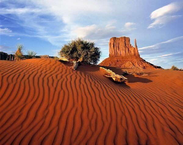 USA, Utah, Monument Valley. Wind creates ripples in this sand dune in Monument Valley, Utah