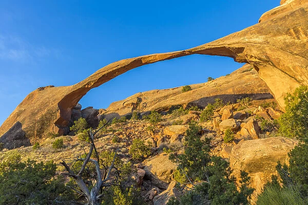 USA, Utah. Morning light shines on Landscape Arch near the Devil