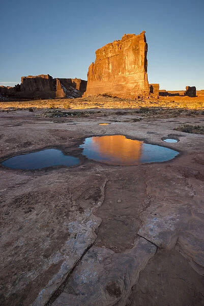 USA, Utah. The Organ reflected in an ice covered pool, Arches National Park