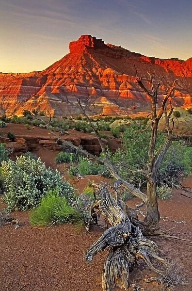 USA, Utah. Paria Canyon sandstone formation at sunset