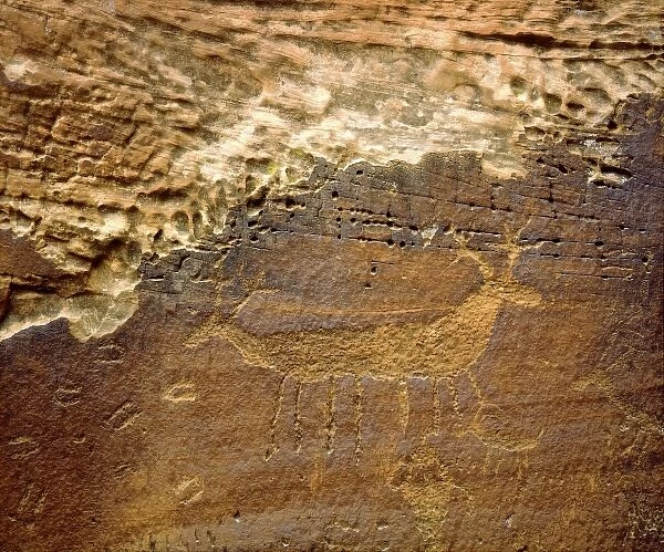 USA, Utah. Petroglyph carvings of animals on rock face