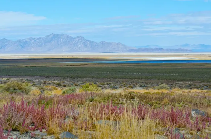 Framed Print : USA, Utah. Pony Express Road, Fish Springs National Wildlife Refuge scenic landscape