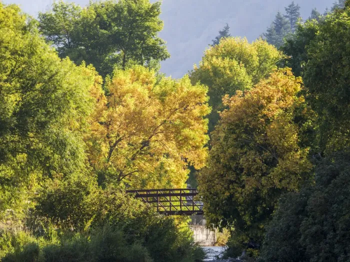 Framed Print : USA, Utah. Trail bridge across the Logan River along Logan Canyon in autumn Framed Print : USA, Utah. Trail bridge across the Logan River along Logan Canyon in autumn