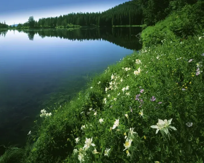 Framed Print : USA, Utah, Uinta-Wasatch-Cache National Forest, Tony Grove Lake Framed Print : USA, Utah, Uinta-Wasatch-Cache National Forest, Tony Grove Lake
