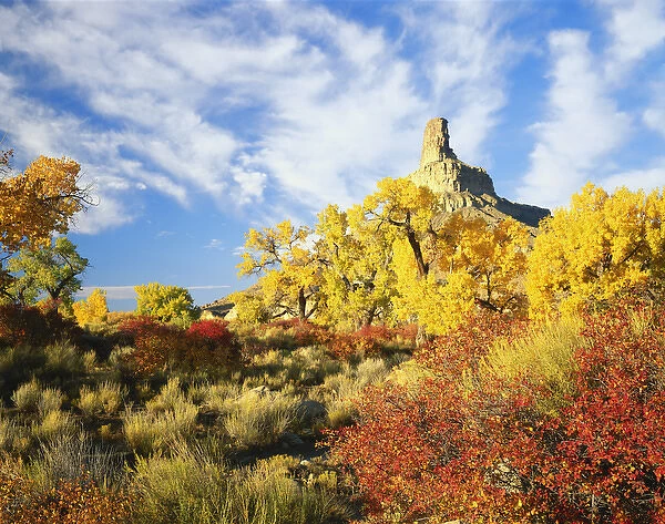 USA, Utah, View of Gunnison Butte and autumn trees