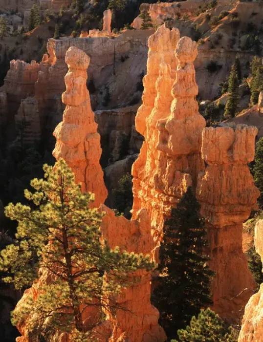 Framed Print : USA, Utah, View of pinaccle at Bryce Canyon National Park