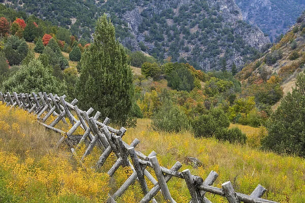 USA, Utah, Wasatch Mountains. Fence and meadow landscape