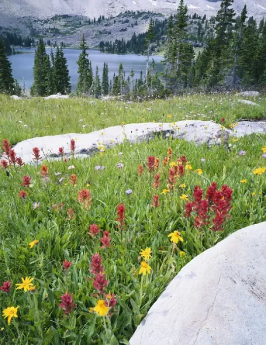 Framed Print : USA, Utah, Wasatch National Forest, High Uintas Wilderness, Uinta Mountains, Ryder Lake Framed Print : USA, Utah, Wasatch National Forest, High Uintas Wilderness, Uinta Mountains, Ryder Lake