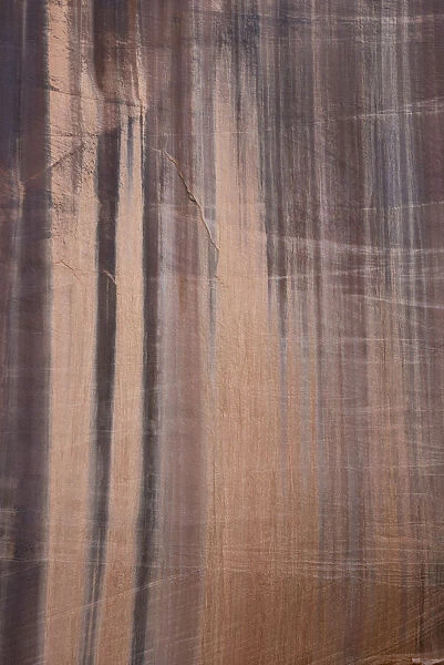 USA, Utah. Water stained canyon wall detail in Long Canyon