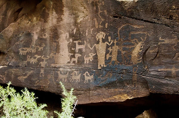 USA, Utah. Wellington, Nine-mile Canyon, Petroglyphs at Daddy Canyon