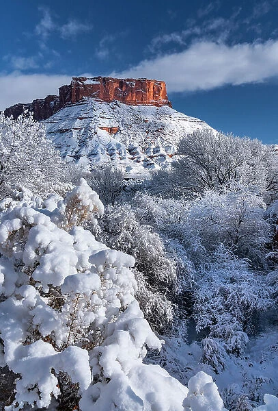 USA, Utah. Winter snowfall in Castle Valley