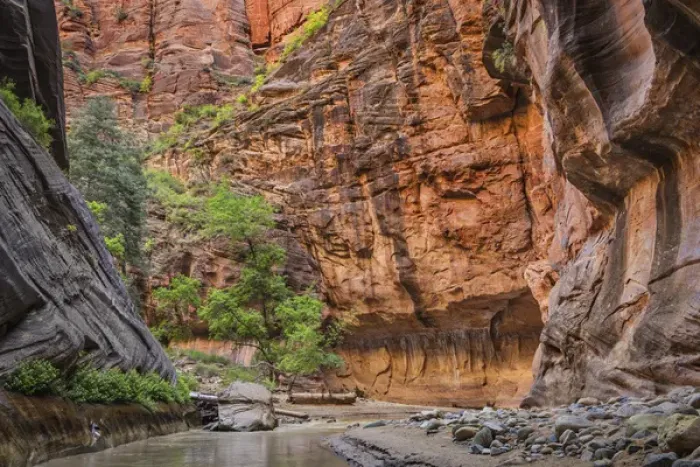 Framed Print : USA Utah Zion Narrows Framed Print : USA Utah Zion Narrows