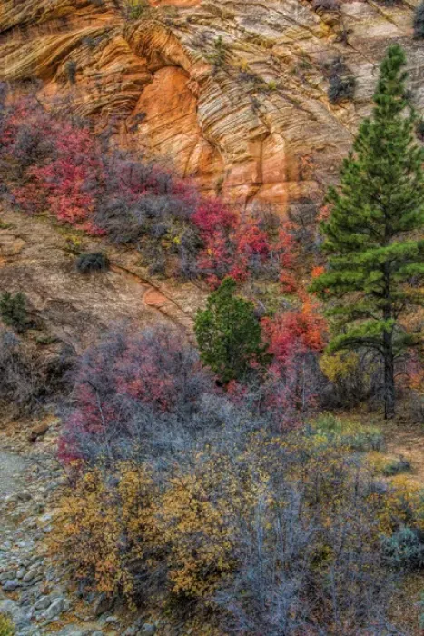 Framed Print : USA, Utah, Zion National Park. Autumn scenic