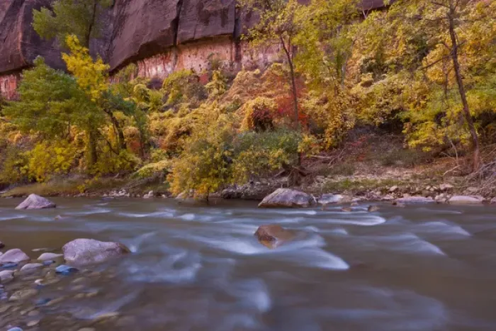 Framed Print : USA, Utah, Zion National Park. Autumn on the Virgin River Framed Print : USA, Utah, Zion National Park. Autumn on the Virgin River