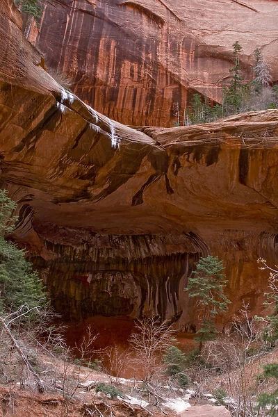 USA, Utah, Zion National Park, Double Arch Alcove with Canyon Walls and Sheer Cliffs