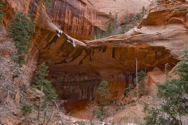 USA, Utah, Zion National Park, Double Arch Alcove with Canyon Walls and Sheer Cliffs