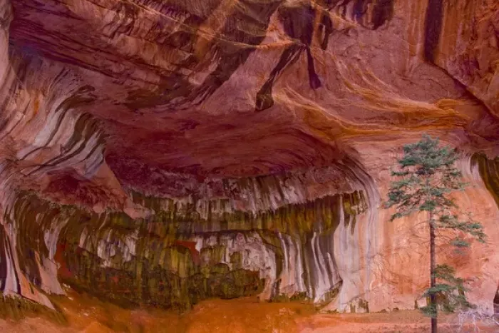 Framed Print : USA, Utah, Zion National Park, Double Arch Alcove with Glowing Canyon Walls and Sheer Framed Print : USA, Utah, Zion National Park, Double Arch Alcove with Glowing Canyon Walls and Sheer