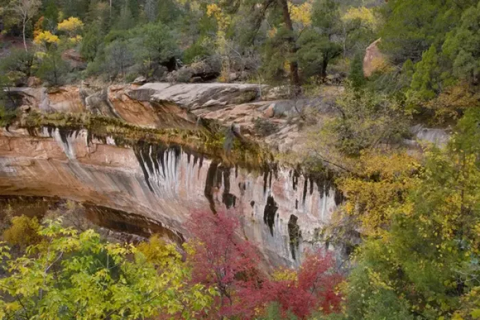 Framed Print : USA, Utah, Zion National Park. Emerald Pool Trail scenic Framed Print : USA, Utah, Zion National Park. Emerald Pool Trail scenic