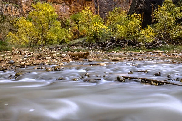 USA, Utah, Zion National Park, fall colors, water