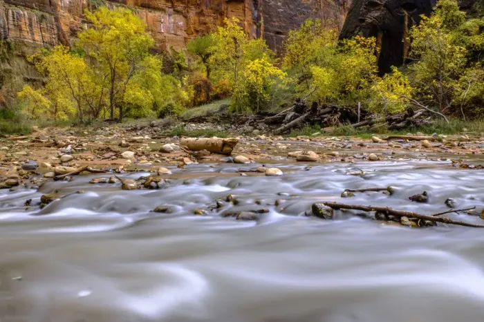 Framed Print : USA, Utah, Zion National Park, fall colors, water Framed Print : USA, Utah, Zion National Park, fall colors, water