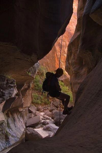 USA, Utah, Zion National Park. A female canyoneer rappels in Pine Creek slot canyon. (MR)